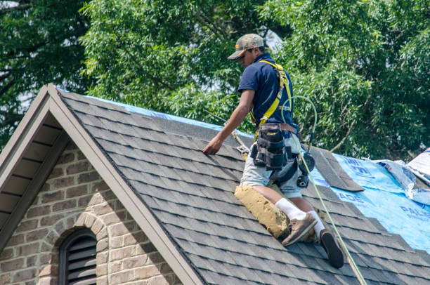 Best Roof Leak Repair  in Rural Retreat, VA