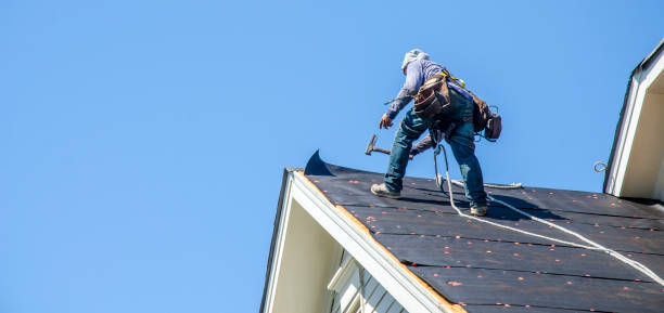 Best Roof Maintenance Services  in Rural Retreat, VA